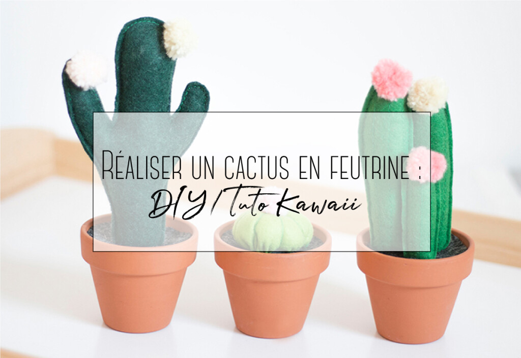 cactus en feutrine