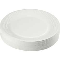 Assiettes en carton