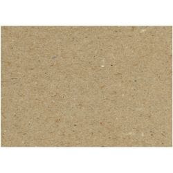 Carton Recyclé