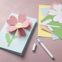 Papier Cartonné Colortime