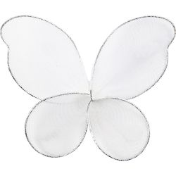 Ailes d'anges