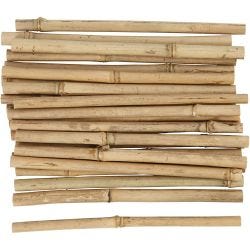 Bâton de bambou