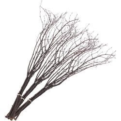 Branches de bouleau