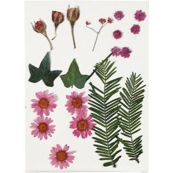 Fleurs et feuilles pressées, rose clair, 1 Pq.