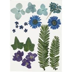 Fleurs et feuilles pressées, bleu, 1 Pq.