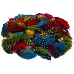 Plumes de pintade