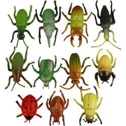 Insectes