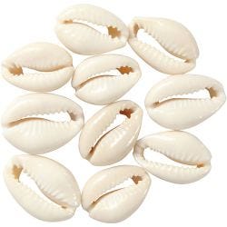 Coquillage