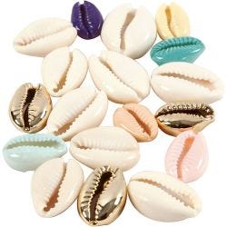 Coquillage