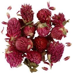 Fleurs Séchées