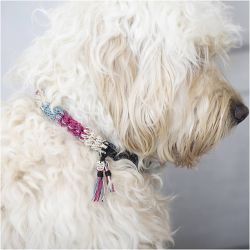 Mini Kit DIY Crochet, Collier pour chien, 1 Pq.