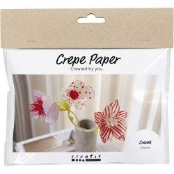 Mini Kit DIY Papier crépon