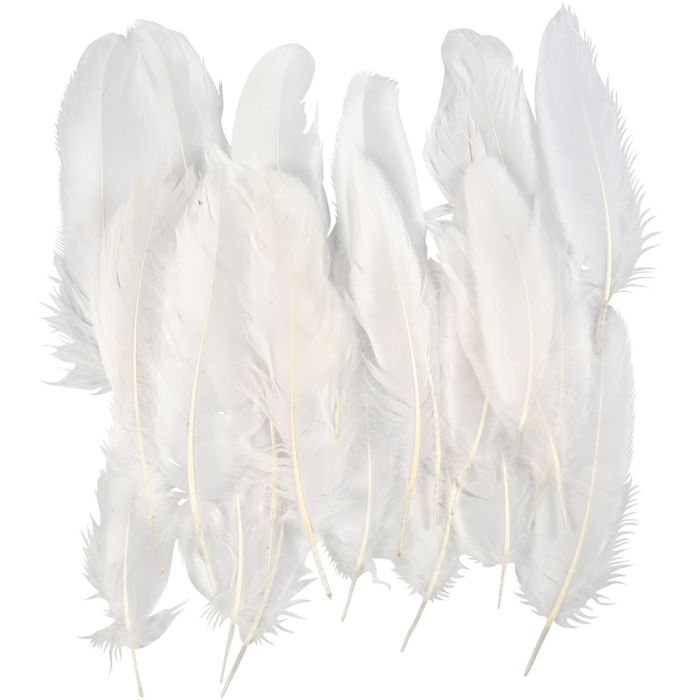 Plumes d'Oie Blanches, ca. 10-18 cm, blanc, 350 pièces/ 1 Pq.