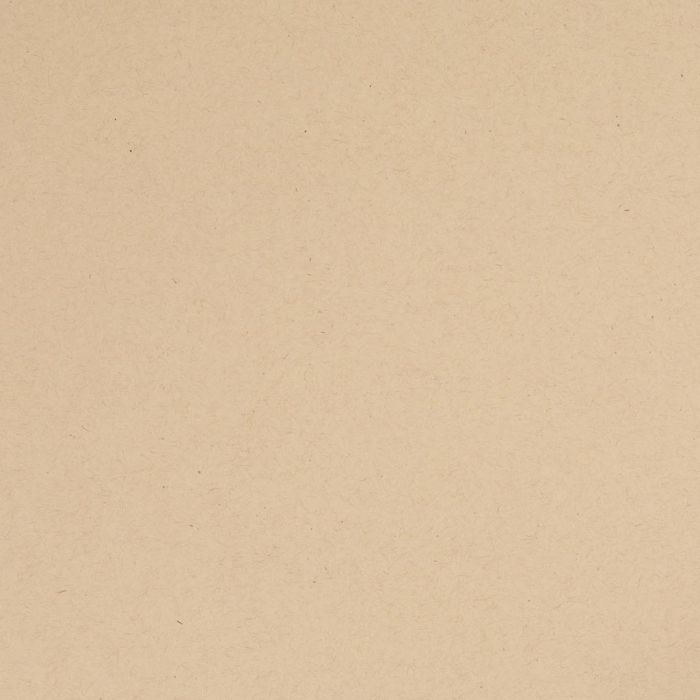 Papier scrapbooking Bazzill, dim. 30,5x30,5 cm, veloutée, 1 pièce