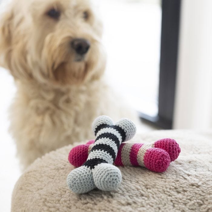 Os pour chien, crocheté