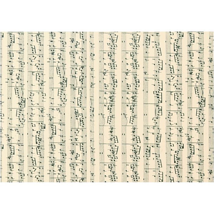 Papier cartonné, notes de musique, A4, feuille 210x297 mm, 180 gr, 10flles/ 1 Pq.
