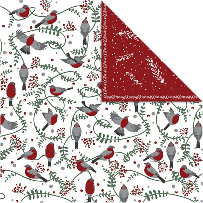 Papier Design, oiseaux et branches, feuille 30,5x30,5 cm, 180 gr, 5flles/ 1 Pq.