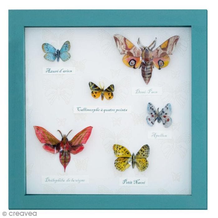 Inspiration cabinet de curiosités : tuto tableau aux papillons