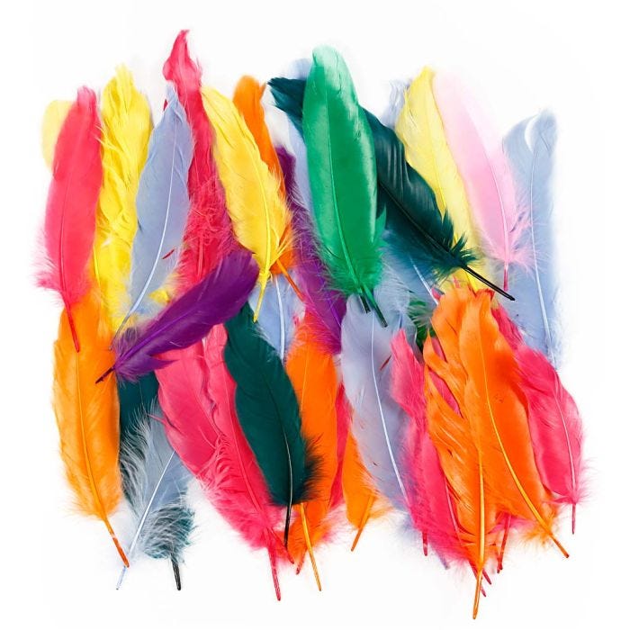 Plumes, 12-15 cm, ass. de couleurs, 350pièces/ 1 Pq.
