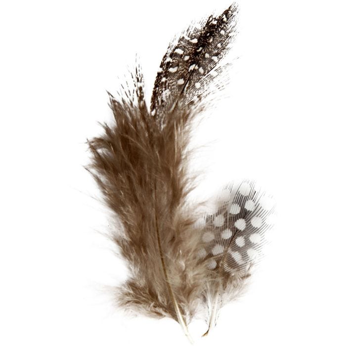 Plumes de pintade, brun, 3 gr/ 1 Pq.
