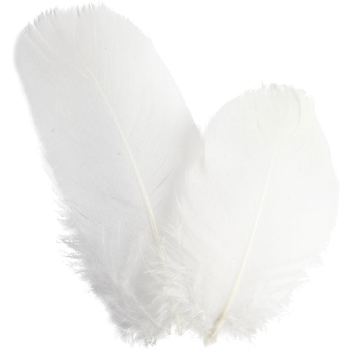 Plumes d'oies - rond, 5-8 cm, blanc, 3gr/ 1 Pq.