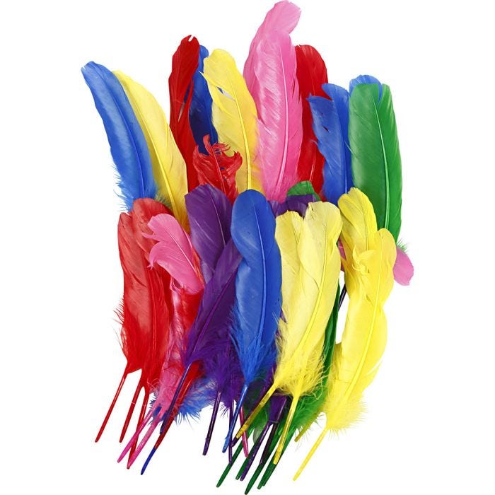Plumes, 20 cm, ass. de couleurs, 36pièces/ 1 Pq.