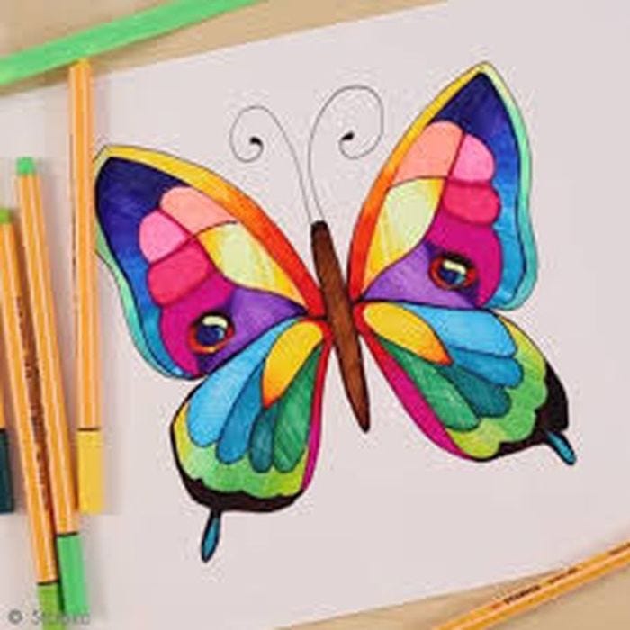 Comment dessiner un papillon coloré?