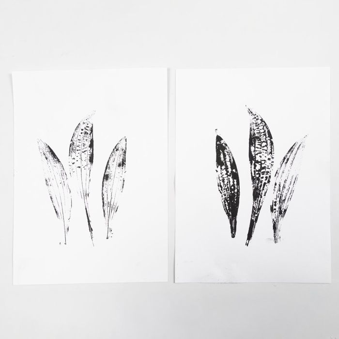 Comment réaliser des impressions sur plaque de gel reproduisant des motifs de la nature