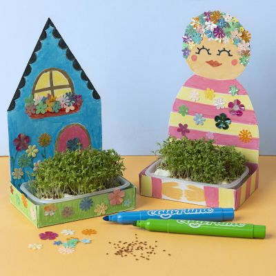 Des plateaux de cresson d&eacute;cor&eacute;s avec des sequins