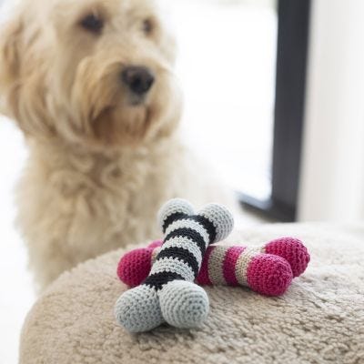 Os pour chien
