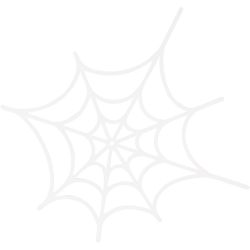 Toile d'araignée