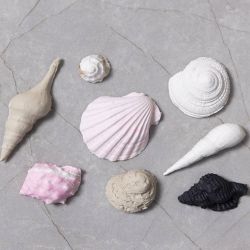 Moule en silicone, Conques et coquillages, H : 1 cm, L : 1-2,8 cm, 1 pièce