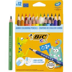 BIC Crayons de Couleur Triangulaires Evolution