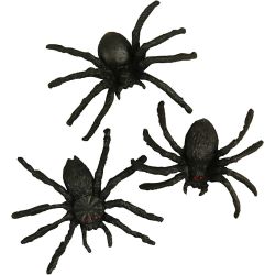 Araignées