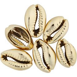 Coquillage