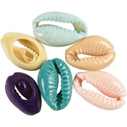 Coquillage