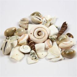 Coquillages de plage, dim. 9-40 mm, diam&egrave;tre int&eacute;rieur 1-1,5 mm, 120 gr/ 1 Pq.