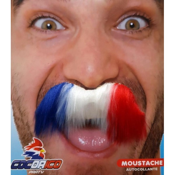 Moustache tricolore - Photo n°1