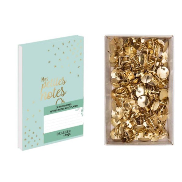 Carnet Petites notes en or + 150 punaises dorées - Photo n°1