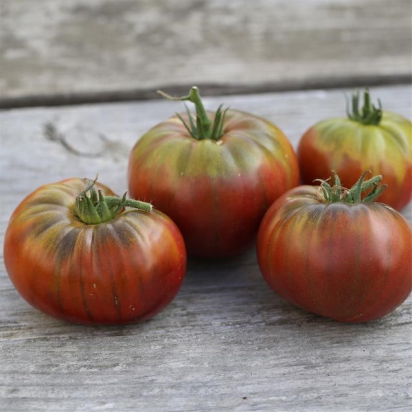 Tomate Noire De Crimée Bio - Graines À Semer - Photo n°4