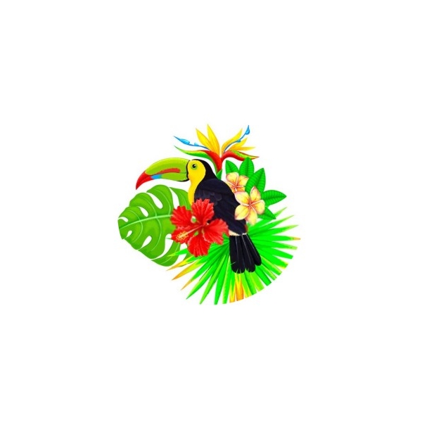 2 Cabochon Verre 12 mm, Cabochon Rond, Toucan Fleur Tropique 1 - Photo n°1