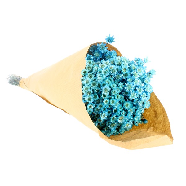 Fleurs séchées - Glixia Bleu - 45 cm environ - Photo n°2