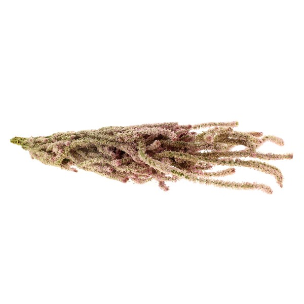 Fleurs séchées - Statice Violet - 50 cm environ - 45 g - Photo n°3