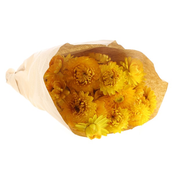 Fleurs séchées - Helichrysum Jaune - 50 cm environ - Photo n°2