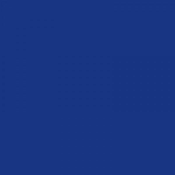 Marqueur Permanent - Marking Onyx 1481 Pointe biseau - Bleu - Bic - Photo n°2