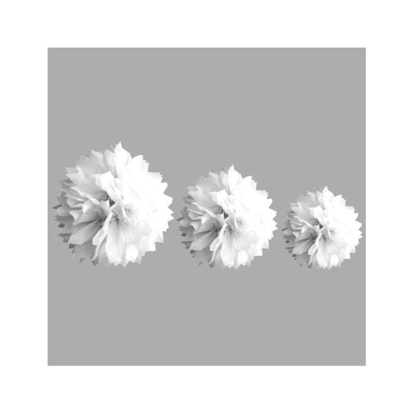 Lot de 3 pompons en papier de soie blanc, 20, 30 , 40 cm, à suspendre - Photo n°1