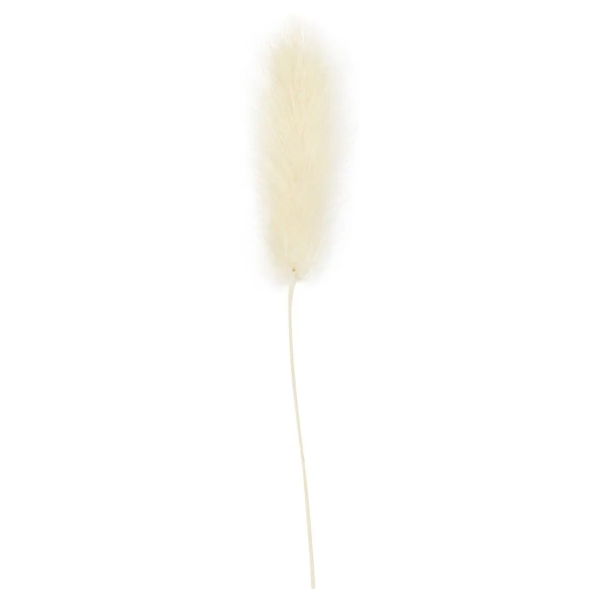 Fleurs séchées - Lagurus Blanc - 3 à 7 cm - 6 pcs - Photo n°3