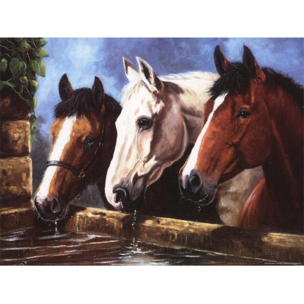 Image 3D Animaux - 3  chevaux à l'abreuvoir 40 x 30 - Photo n°1