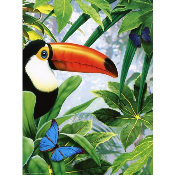 Image 3D Animaux - Toucan 30 x 40 - Photo n°1