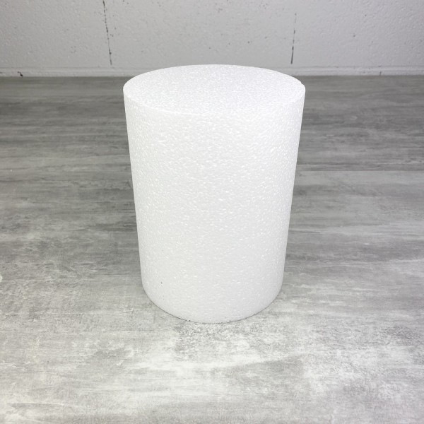 Disque épaisseur 20 cm, diamètre 15 cm, polystyrène pro haute densité, dummy - Photo n°1